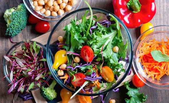 Which Plant-based Diet is For You?